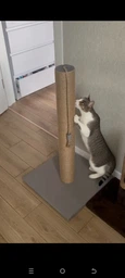 Высокая кошачья когтеточка столбик для кошек котика 82см серая