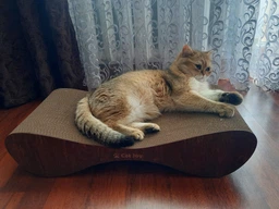 Кігтеточка з картону посиленого з дерев'яним фасадом Cat Joy Bionica Beige Wood 63х14х29 см фото від покупців 1