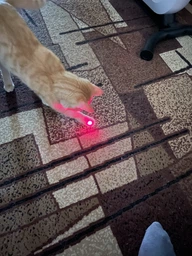 Лазерная портативная указка игрушка для кошек и собак с LED дисплеем уровня зарядки USB зарядкой ультрафиолетовый UV фонарик аккумуляторная интерактивная игрушка для животных