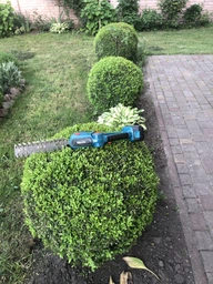 Аккумуляторний кущоріз ножниці садовий гілкоріз електричний триммер Garden + 2 аккумулятора в комплекті фото від покупців 14