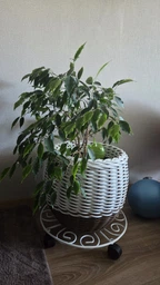 Підставка під квіти DecorArt "Ролік 30" 4x30 см білий