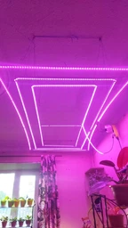 Фитолента для комнатных растений светодиодная рассады цветов фитолампа USB 5 метров фото от покупателей 4