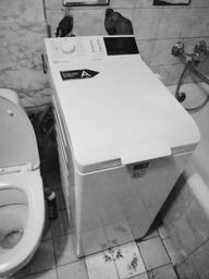 Стиральная машина Electrolux EW6T427U фото от покупателей 1