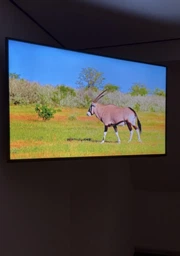 Телевизор Samsung QLED 55" QE55Q7FAAUXUA фото от покупателей 7