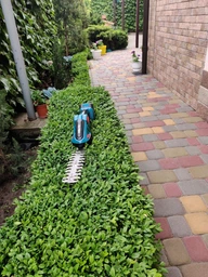 Аккумуляторний кущоріз ножниці садовий гілкоріз електричний триммер Garden + 2 аккумулятора в комплекті фото від покупців 8