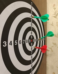 Дартс классический Newt Dartgame 43 см (TI-0097) фото от покупателей 4