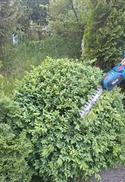 Аккумуляторний кущоріз ножниці садовий гілкоріз електричний триммер Garden + 2 аккумулятора в комплекті фото від покупців 4