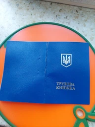 Трудовая книжка с голограммой