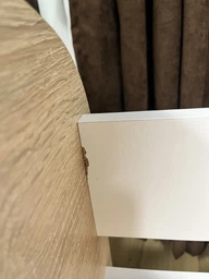 Кровать детская Pondi Лакки 80х160 см Дуб сонома/Нимфея Альба