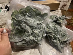 Вакуумный упаковщик бытовой вакууматор украинская версия для еды да продуктов 120 Вт с дисплеем и резаком фото от покупателей 16