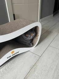 Когтеточка-лежанка для кошек Say Meow Grace гофрокартон, 67х27х24 см (8040190103008)