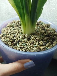 Стабільний неорганічний субстрат Lechuza Orchidpon для орхідей 6 л 19581