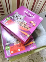 Сухой корм Whiskas 1+ с говядиной для взрослых кошек, 950 г