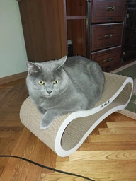 Кігтеточка дряпка з гофрокартону лежанка для котів з картонним фасадом Cat Joy Avangard Whitish 59х18х25 см