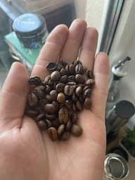 Кофе Ferarra 100% arabica зерно 1 кг (226)