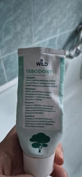 Зубная паста Dr. Wild Tebodont-F с маслом чайного дерева и фторидом 6 мл (2100000050178)