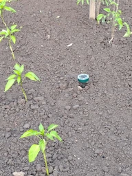Потужний ультразвуковий відлякувач 4 шт. гризунів, кротів, мишей, для саду на сонячних батареях Smart (solar) фото від покупців 4
