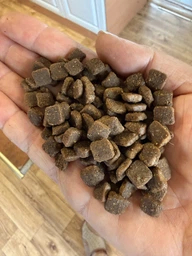 Гипоаллергенный сухой корм для собак маленьких пород Happy Pet с индейкой и лососем 5 кг