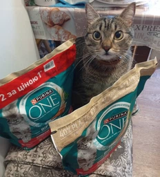 Сухой корм для кошек Purina One Steril Cat Salmon & Wheat 200 г (7613034765239)