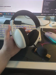 Навушники Canyon GH-13 Ego Wireless Gaming 7.1 Black (CND-SGHS13B)