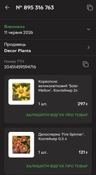 Кореопсис крупноцветковый ‘Solar Mellow’. Контейнер 2л фото от покупателей 1
