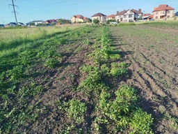 Триммер акумуляторний для трави та кущів бездротова коса для газону 8 насадок Li-Ion акумулятор фото від покупців 3