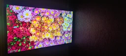 LED-телевізор H43S80FUX HAIER 000334960