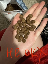 Exclusion Cat Sterilized Tuna – Сухой монопротеиновый корм для взрослых стерилизованных кошек с тунцом 300 г.