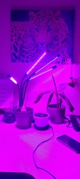 Фітолампа фіто лампа для рослин розсади орхідеї гнучка світлодіодна лед led фітосвітильник регулювання яскравості кольору лампи фітолампи фітосвітильники для росту і вирощування кімнатних квітів (FL-02)