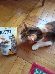 Ласощі для котів GimCat Nutri Pockets Käse з сиром 60 г