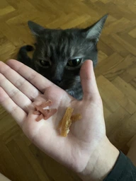 Промо набір ласощів Trixie PREMIO Duck Filet Bites для котів, філе качки сушене 50 г 1 упаковка + Ласощі Trixie PREMIO Chicken Filet Bites для котів, філе куряче сушене 50 г 1 упаковка (2700000031070) фото від покупців 1