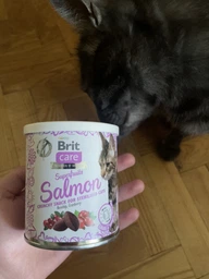 Лакомство для кошек Brit Care Cat Snack Superfruits Salmon лосось 100 г (8595602521449) фото от покупателей 1