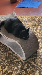 Когтеточка-лежанка для кошек Say Meow Grace гофрокартон, 67х27х24 см (8040190103008)