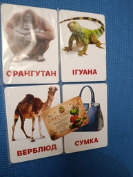 Карточки Домана ''Животные Азии'' на украинском языке, в наборе 16 карточек