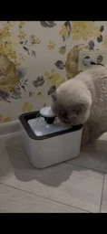 Поилка для животных Pet Water FOUNTAIN Автоматическая поилка - фонтан фото от покупателей 1