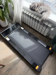 Беговая дорожка EnergyFIT EF-X512NS black фото от покупателей 2