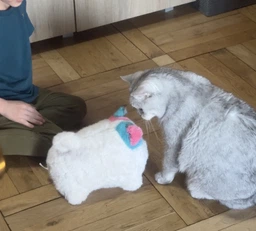 Інтерактивна іграшка Shantou Yisheng пухнастий котик Fluff pets Білий з сірими вушками (BL-335-2)