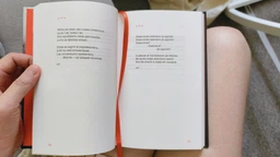 Вітер з Марса — Ліна Костенко | А-БА-БА-ГА-ЛА-МА-ГА, книга українською, нова, тверда фото от покупателей 1