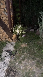 Садовий світильник 2 шт Феєрверк 150 LED на сонячній батареї з акумулятором IP65 фото от покупателей 4