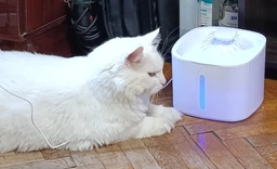 Поїлка для котів автоматична автопоїлка питний фонтан для котів кішок собак фонтанчик для домашніх тварин напувалка з фільтром універсальна циркуляційна з підсвіткою безшумна 3 л OnePro Біла 74069