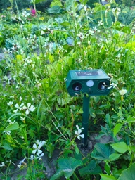 Відлякувач ультразвуковий кротів і птахів змій гризунів Solar Animal Repellent 01 на сонячній батареї + стробоскоп фото від покупців 6