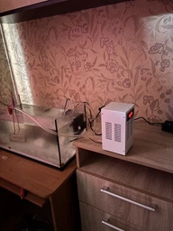 Холодильник (чилер) міні для акваріумів до 60 л SCool-10