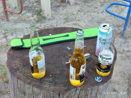Упаковка пива Corona Extra світле фільтроване 4.5% 0.355 л х 24 шт (17503034941207_7503034941200_7501064191459)