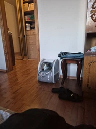 Рюкзак переноска для кота кошки котенка собаки до 8 кг с прозрачным окошком серый (002289)