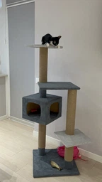 Домик когтеточка для кота дряпка для кошки Мур-Мяу Алиса 60х60х138 см в джутовой веревке Серый МТ фото от покупателей 1