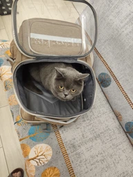 Рюкзак переноска для кота кошки котенка маленьких собак до 8 кг прозрачный зеленый (002279) фото от покупателей 5