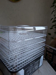 Електрична сушарка для овочів та фруктів Rainberg RB-2291 1000W Food Dehydrator Multifunction