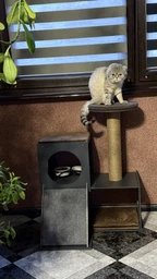 Ігровий комплекс для котів SweetPet PurrPalace (90х70х60 см): дряпка-лазанка з кігтеточкою, будиночком та лежанками фото від покупців 1