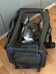 Сумка для перенесення Bestopet (Люпосанчик) Folding Pet Trolley Bag для котів і собак BS-SS-041, Black фото від покупців 1