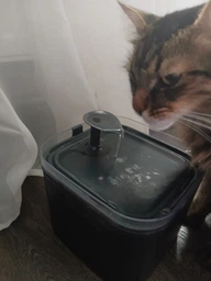 Фонтан-поїлка для котів і собак Petory 2.2L з фільтром, Білий (100-WHITE) фото від покупців 1